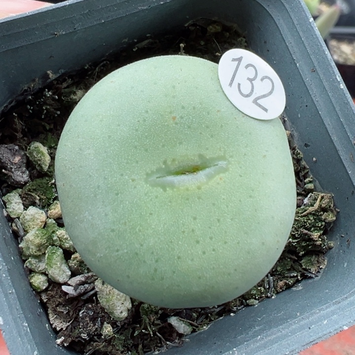 132干11111111111111