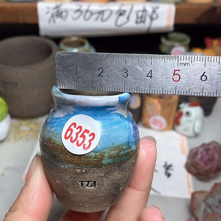 红陶拍5送一个小