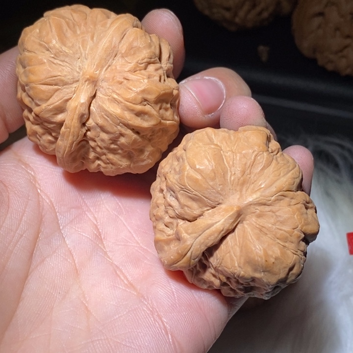 我***。文玩核桃吊坠精品课程和专业培训教材编写