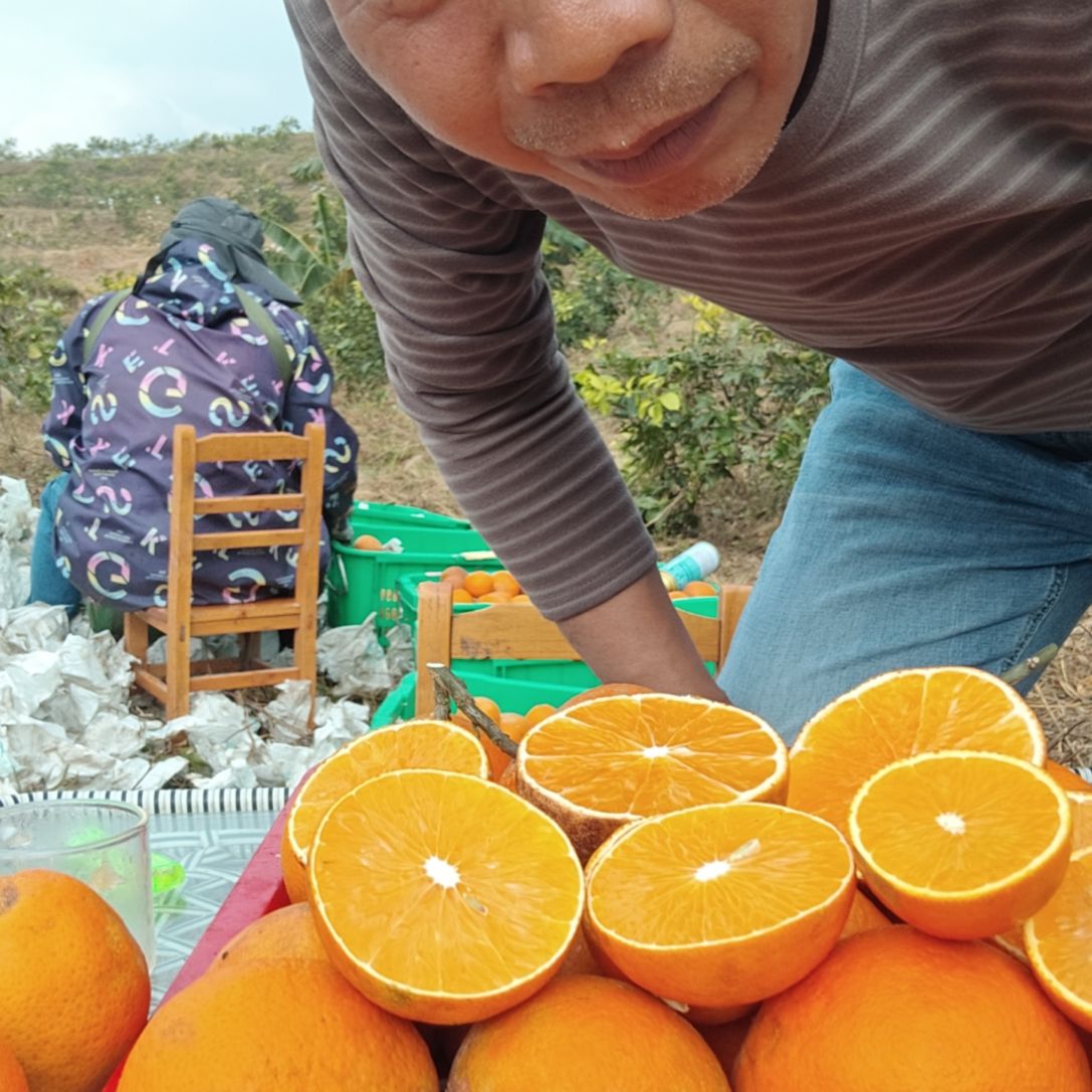 爱媛28好吃好吃好吃好吃好吃