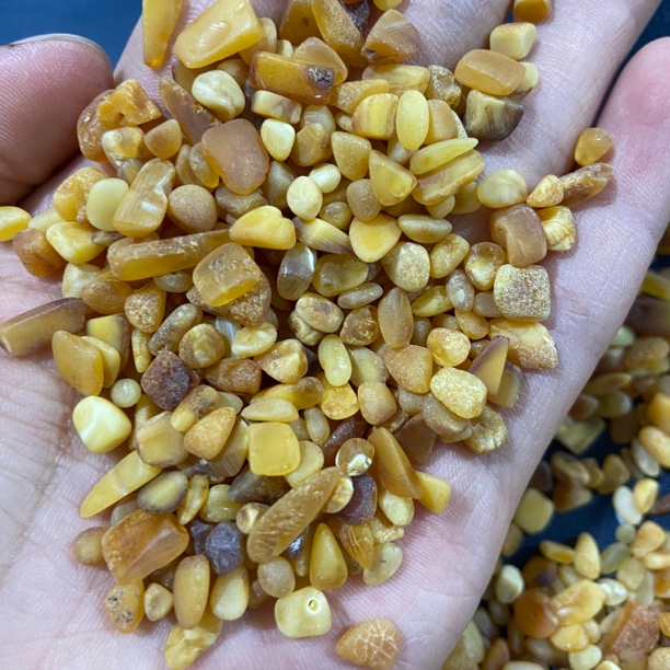 20克天然无孔蜜蜡碎石白花蜜随形散珠碎石配件