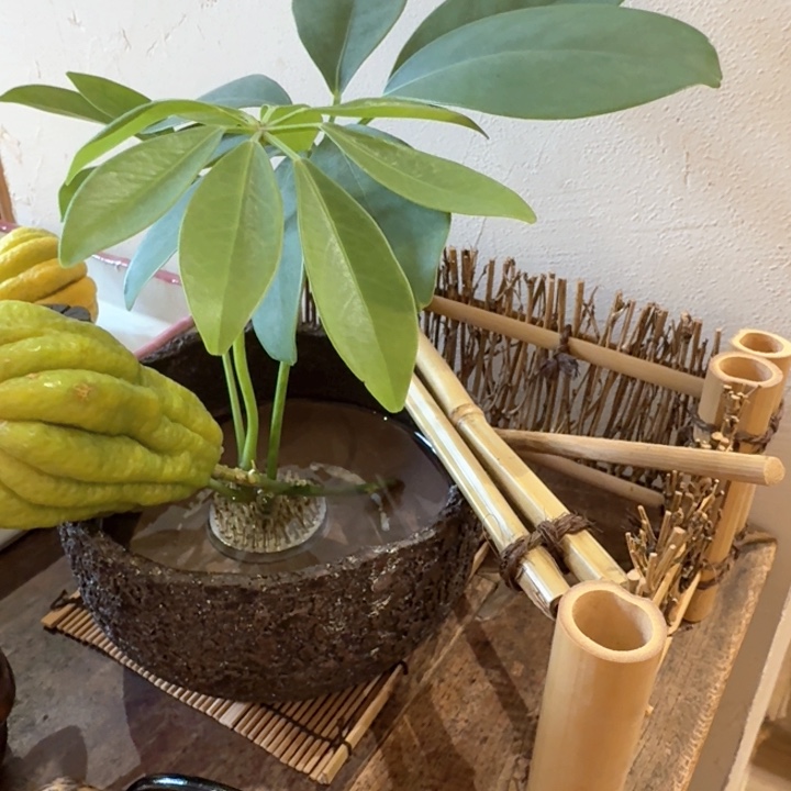 哈哈哈哈哈哈哈哈哈