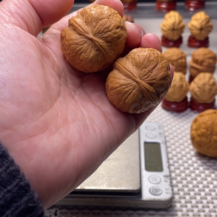 文玩核桃把件48粗筋瓷娃娃