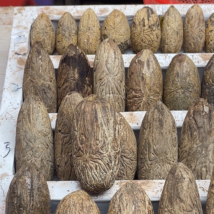 星***域菩提11111111111111111111