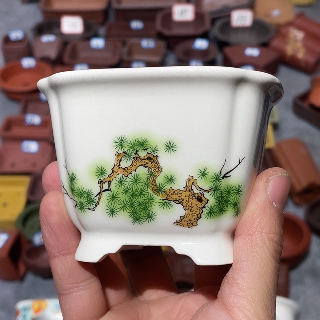 紫砂紫砂小盆8*5.5