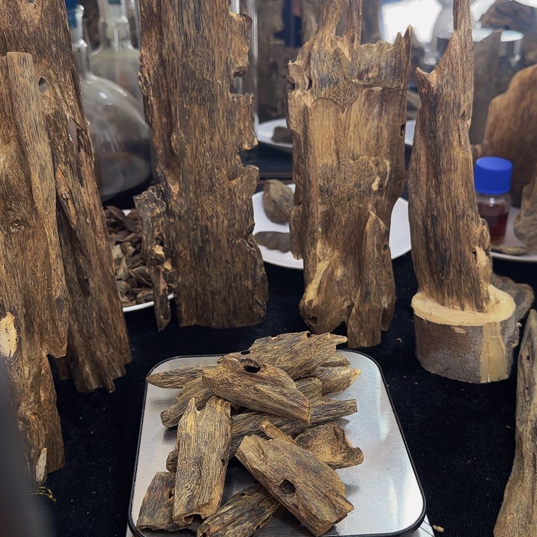 沉香沉香碎屑精品醇化小虫漏100克