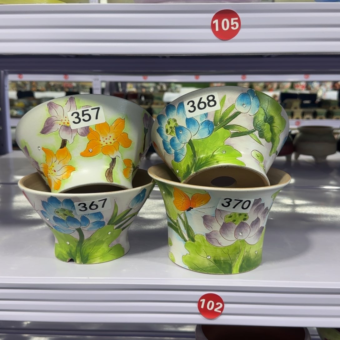 红陶田小姐多肉花盆