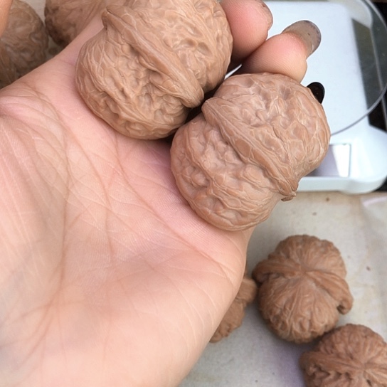 核桃文玩核桃43元宝