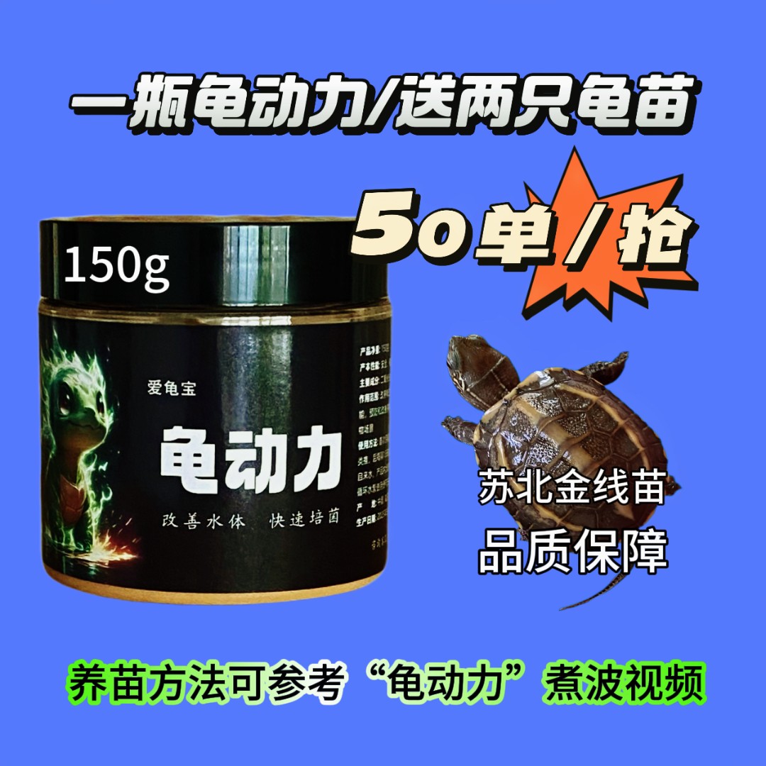 龟动力/轻松生态养龟-可50cm水深/可出水晒台/可冬眠