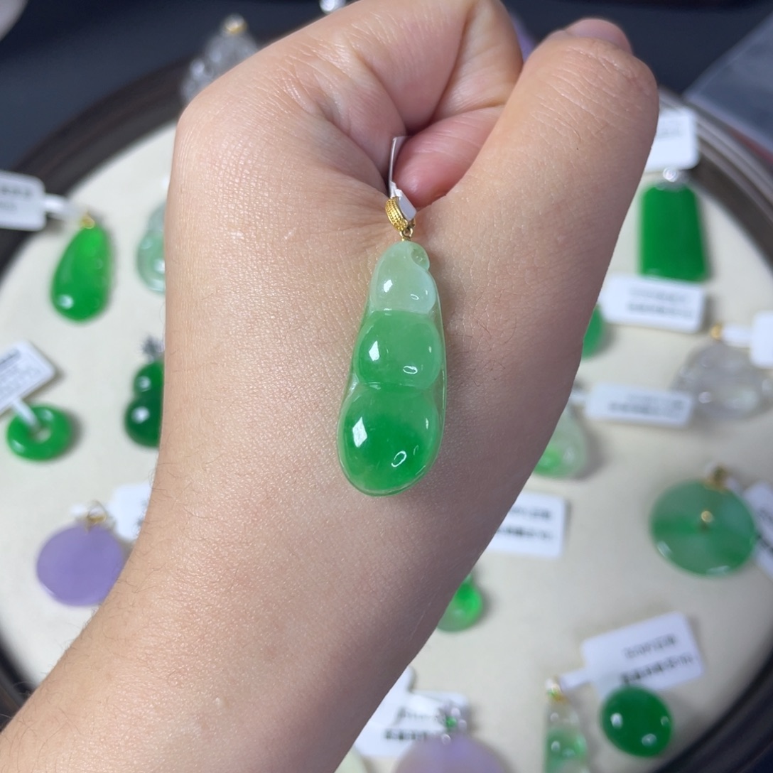 小****福豆直播编号S8165