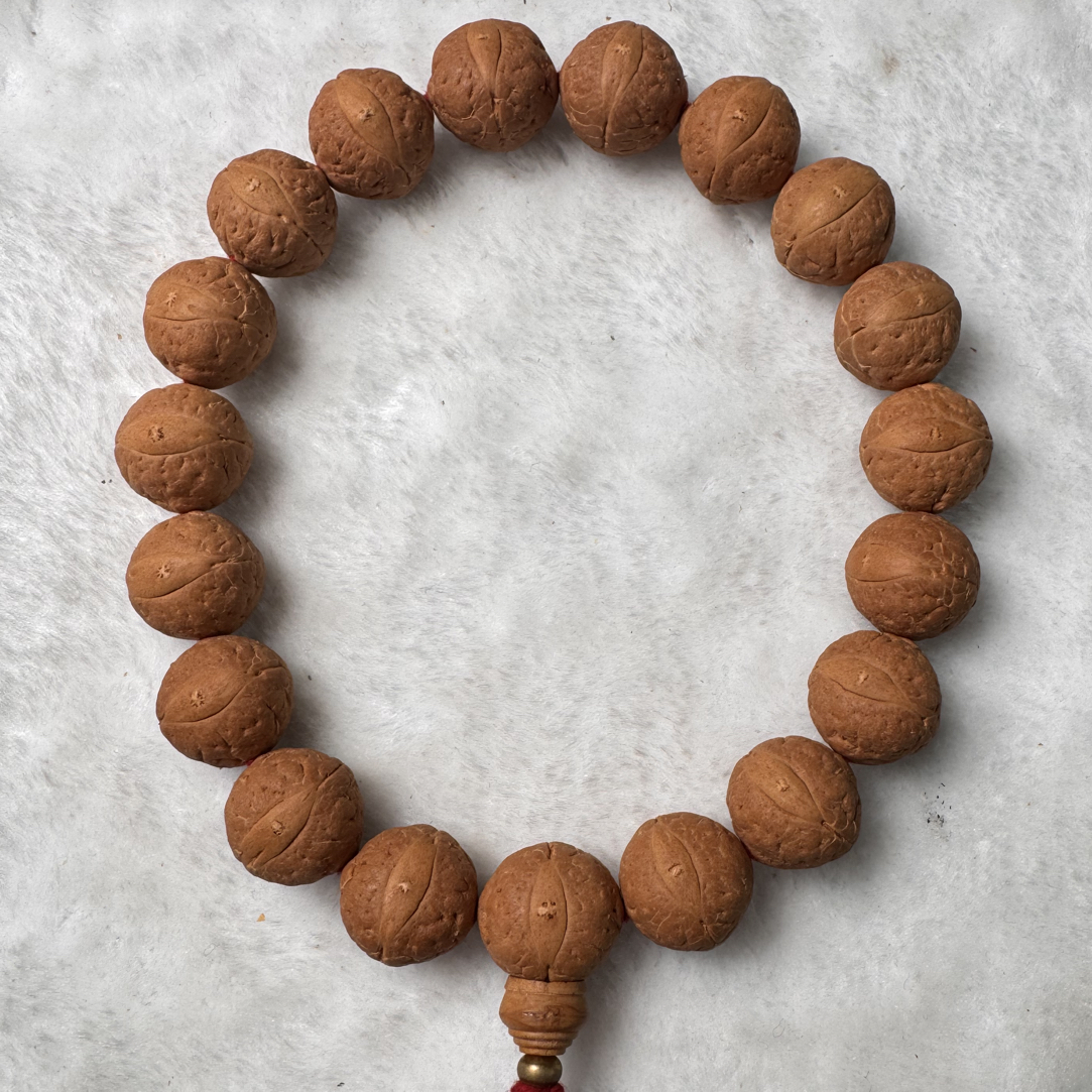 尼泊尔凤眼菩提18➕手持文玩好物