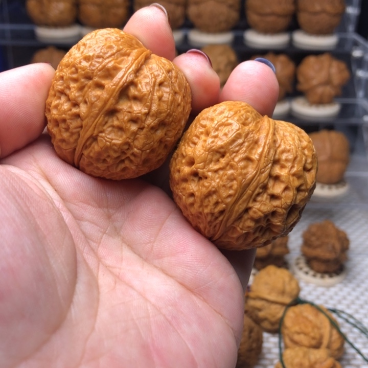 把件文玩核桃18鹦鹉元宝37尺