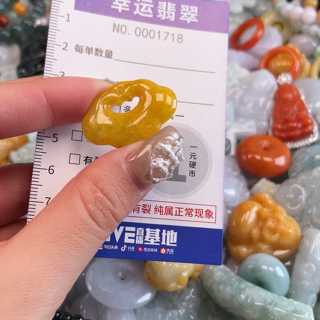 翡翠未镶嵌颈饰1718