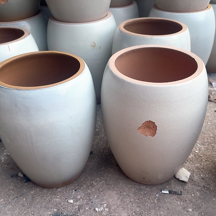 微瑕花盆啦啦来啦