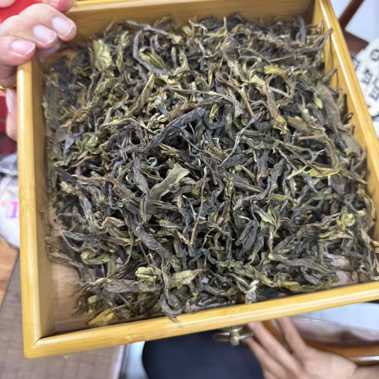2025年班章黄片普洱生茶古树黄片 一袋250克