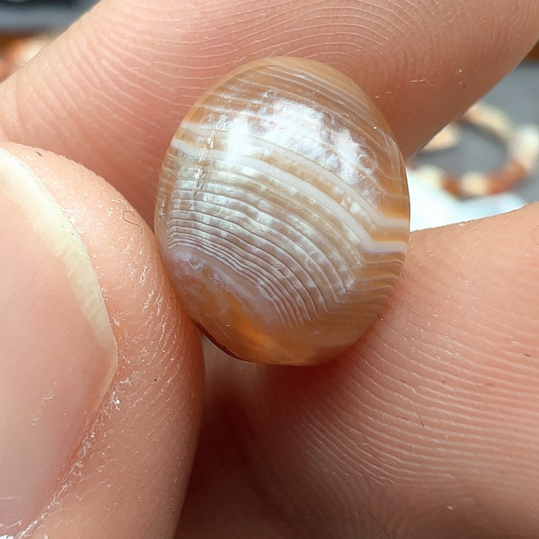 泥塑x85   12×10....