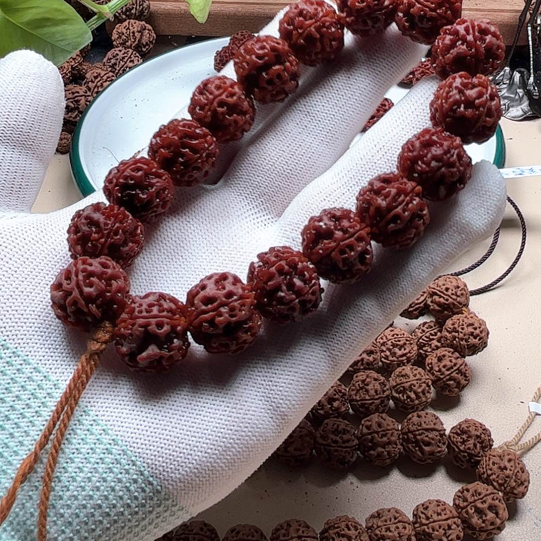 金刚菩提手串18老籽