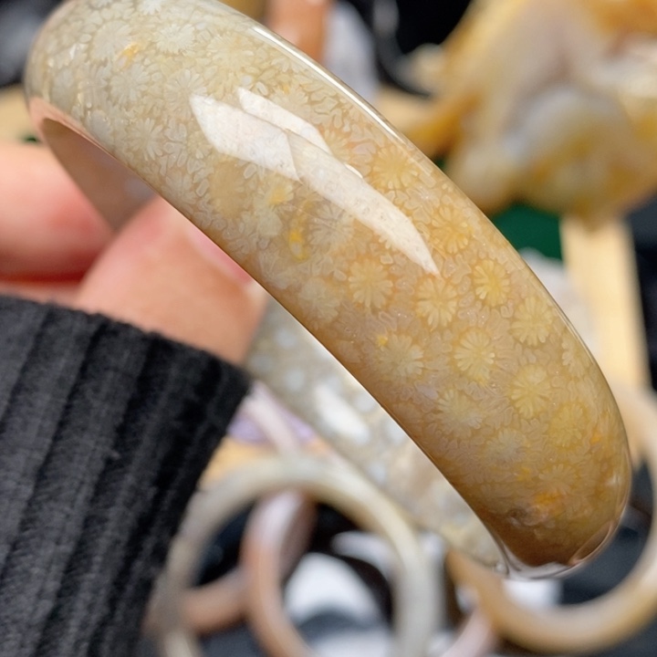 硅化珊瑚（珊瑚玉）手镯未镶嵌59.5 