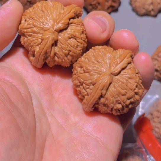 文玩核桃把件拾*&白狮子