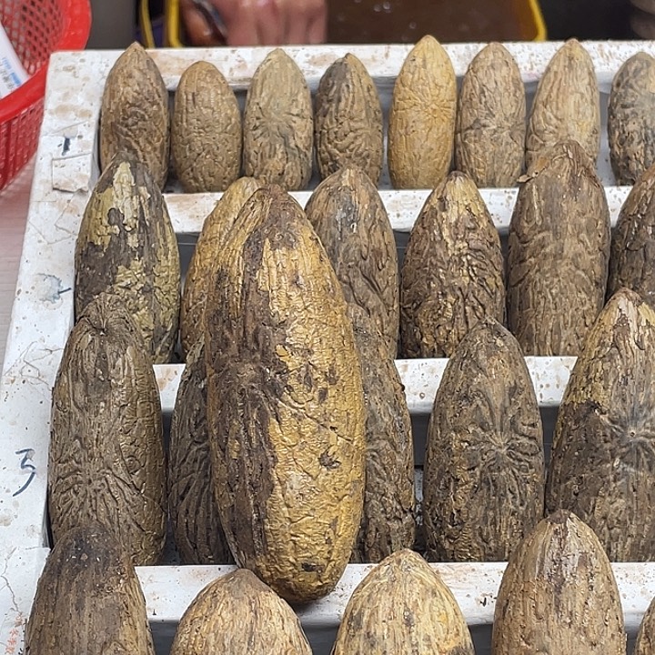 壮***壮大叶紫檀（黑酸枝木类）