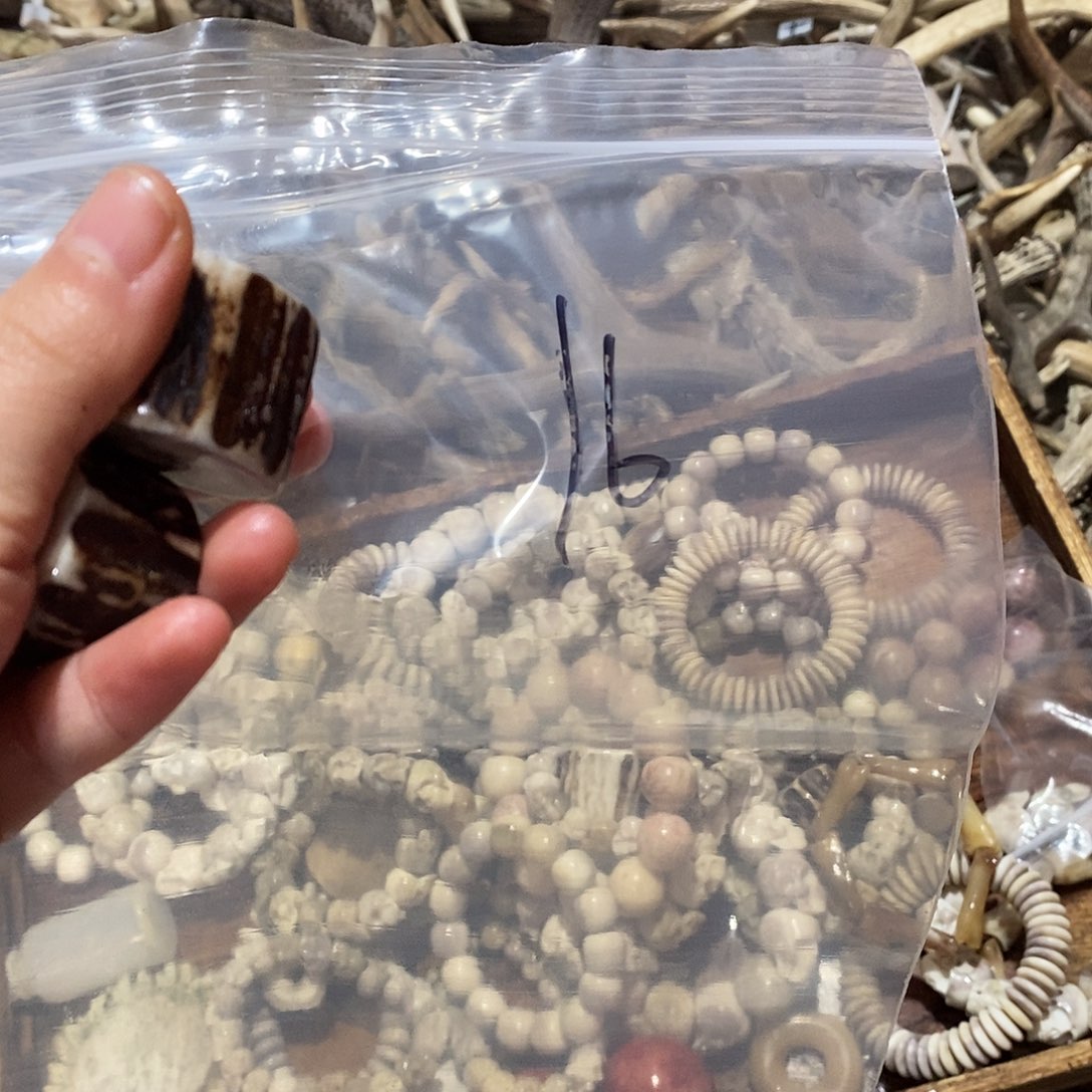 大***虫非金属鹿角鹿角鹿角