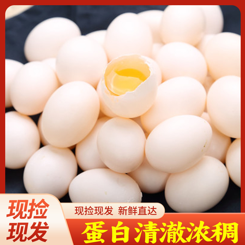 [胡努娃福利专场]农家土货好物鸽子蛋