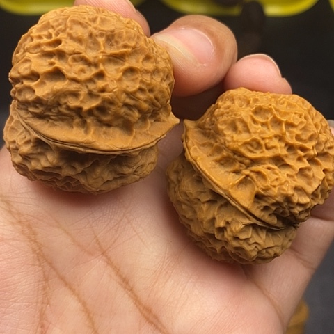 文玩核桃把件40尺火麒麟金蟾