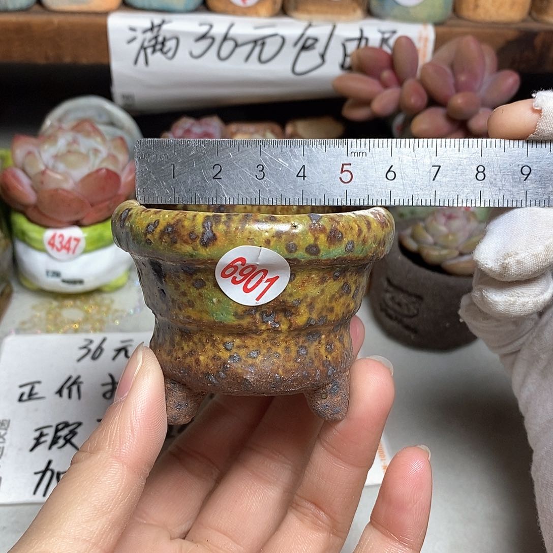 红陶拍5送一个小