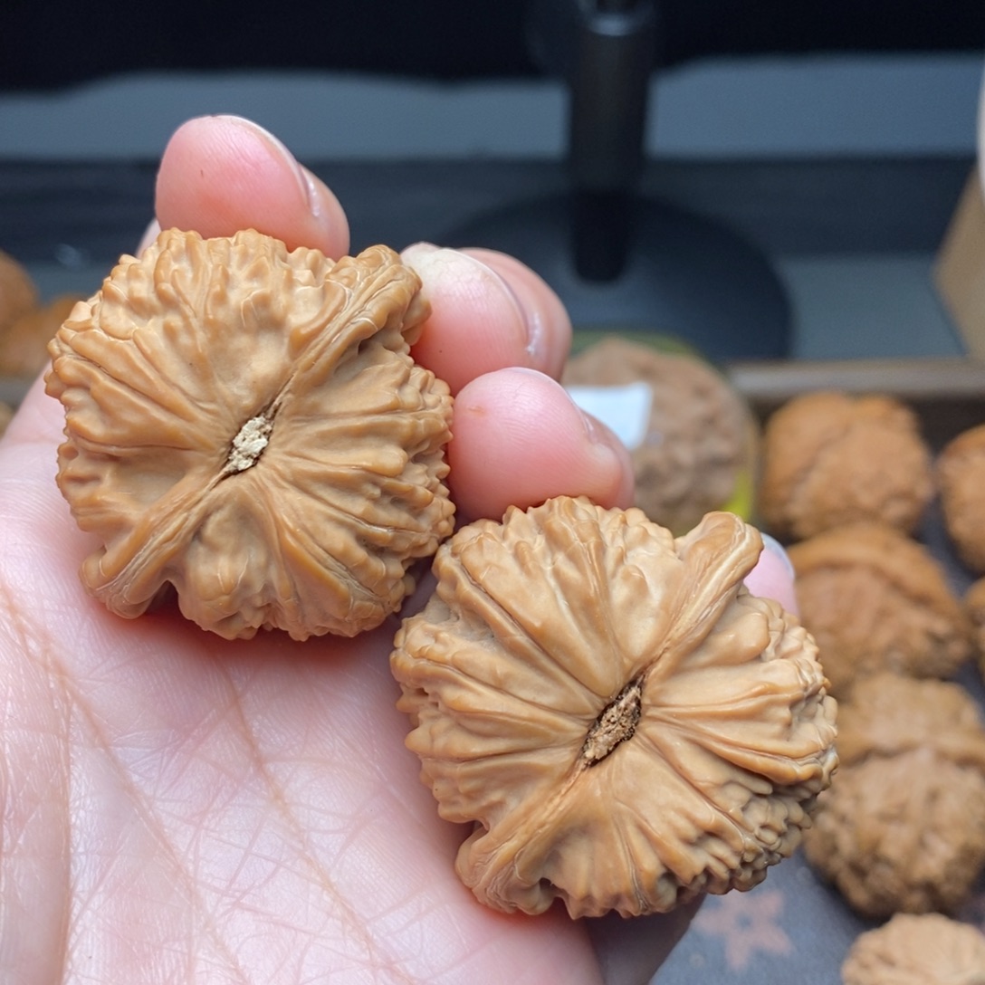 小***狼文玩核桃把件白狮子40