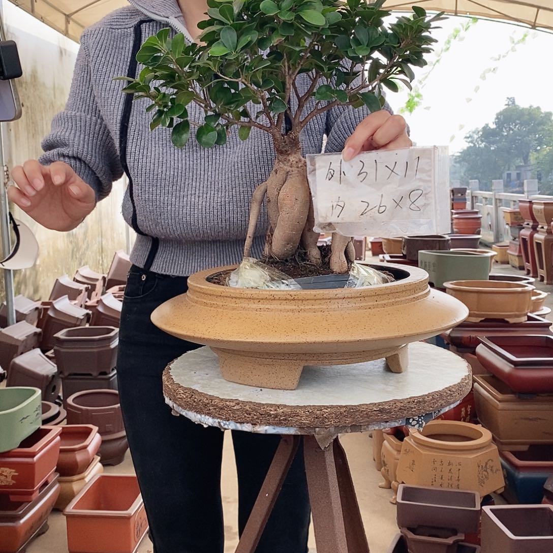 紫砂花盆紫砂花盆