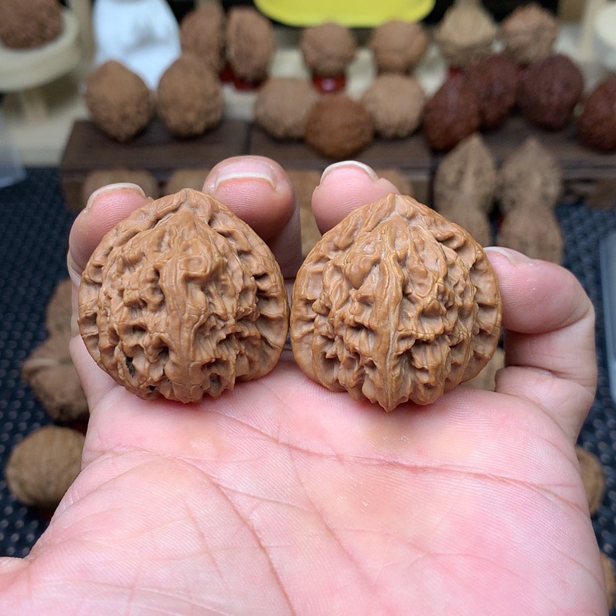 【闪购商品】文玩核桃把件全品三角白狮子头38文玩核桃