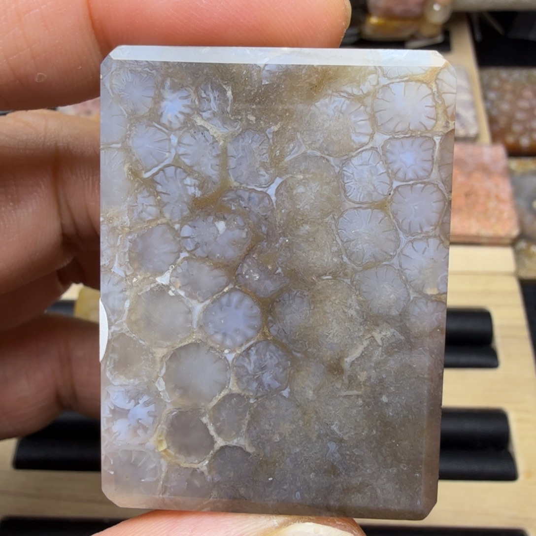 硅化玉未镶嵌纯天然色有机玉石保真色