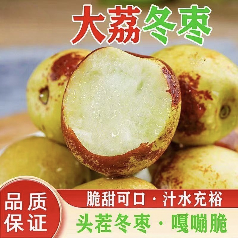 【川渝次日达】新鲜冬枣特甜当季新鲜水果陕西省