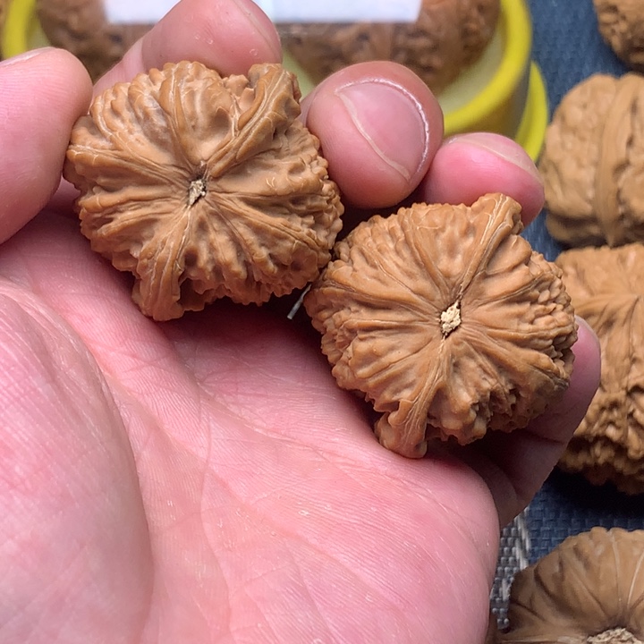 晓***人手串/手链核桃39全品白狮子