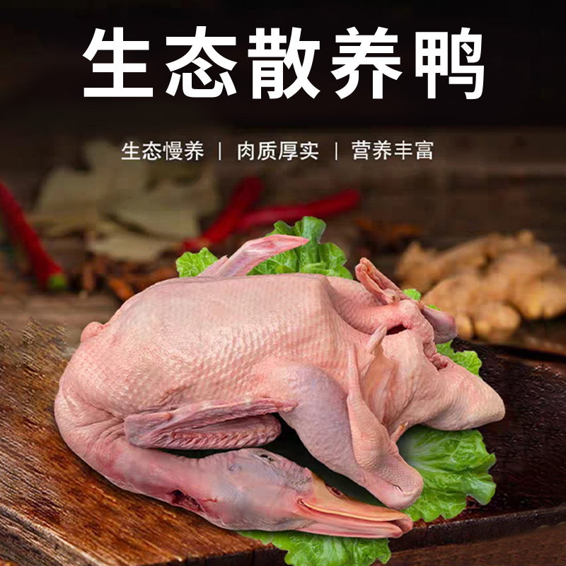 农家生态青头鸭活鸭现宰肉质新鲜