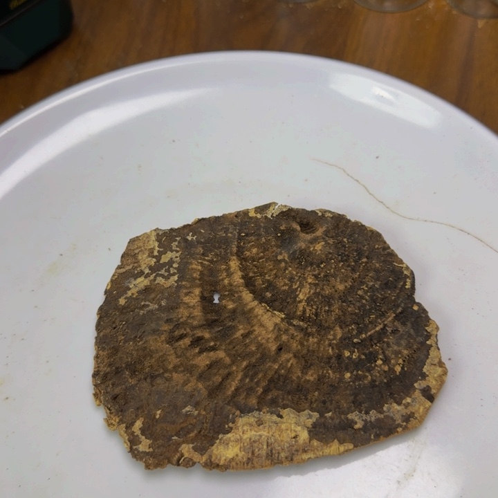 东***谁沉香碎屑沉香包铁海南料13.7克