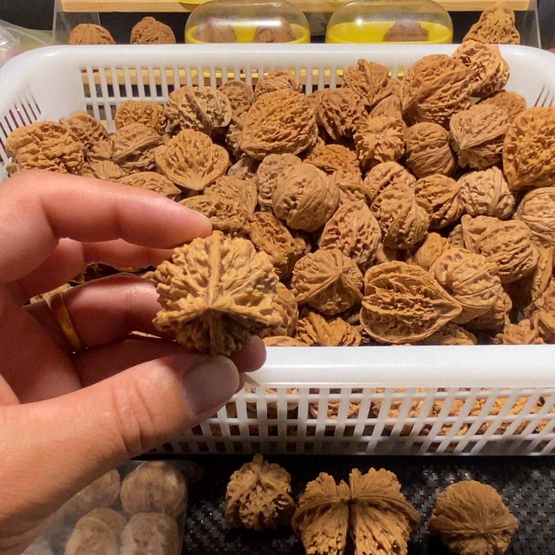 雾***鹿核桃异形单只异形