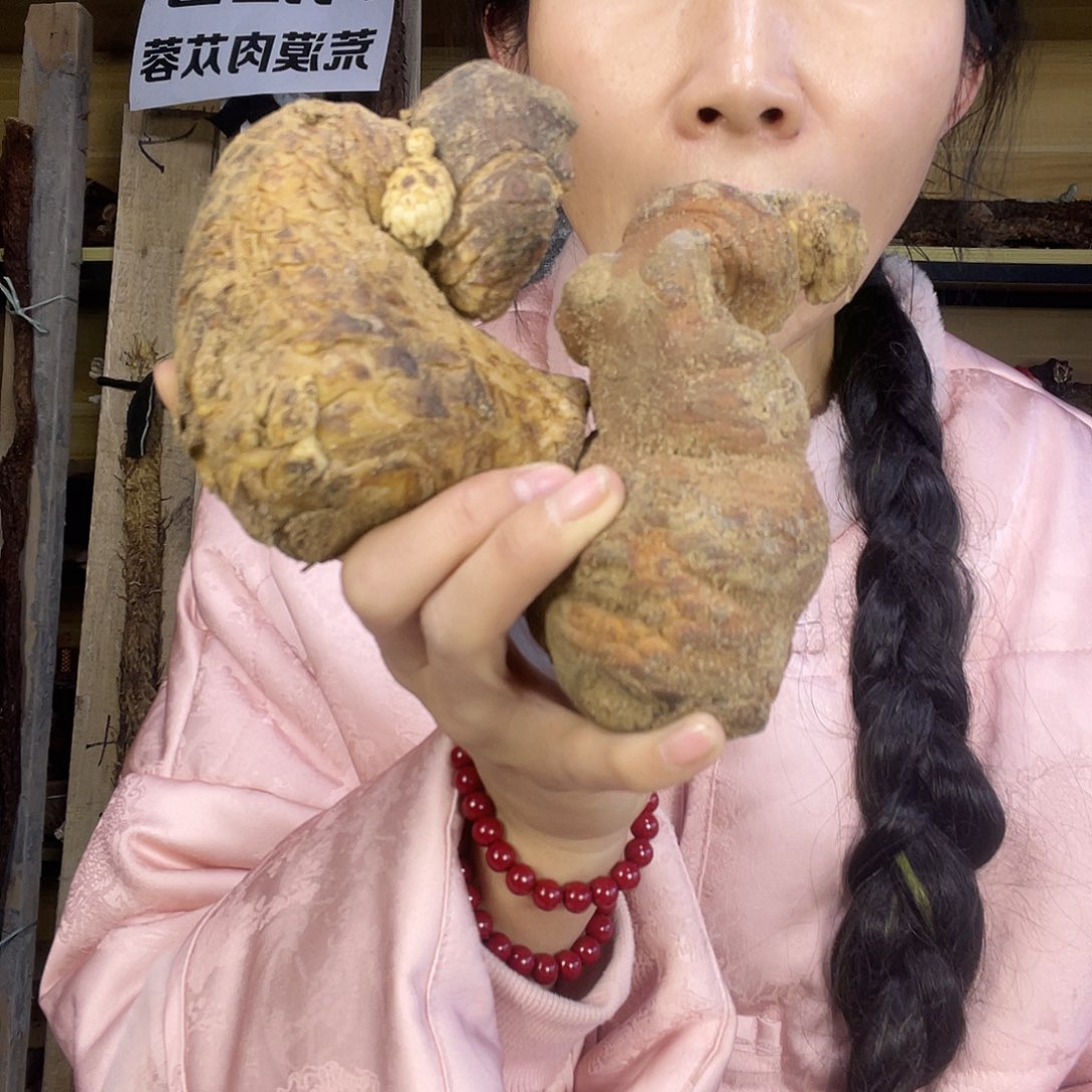 中国大陆590克老根