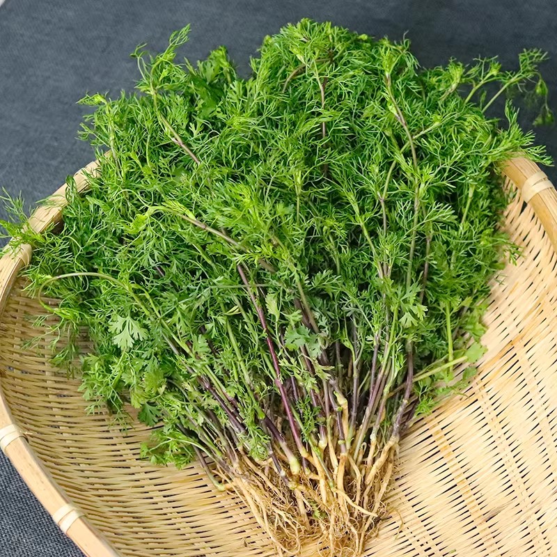 新鲜蔬菜调料各种组合拍下一起发货