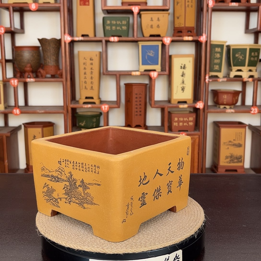 紫砂花盆紫砂花盆