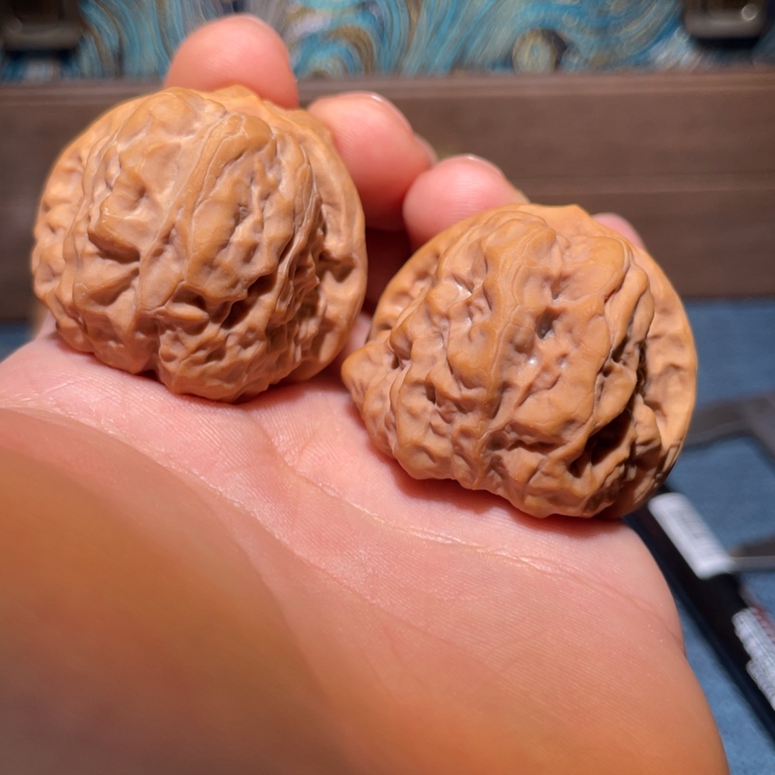 文玩核桃把件555556656666