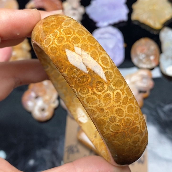 硅化珊瑚（珊瑚玉）手镯未镶嵌63