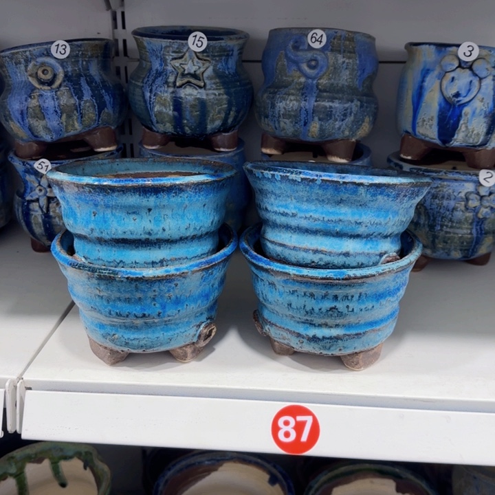 红陶内人也是我的好朋友