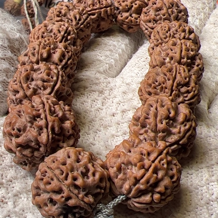 金刚菩提手串22安娜大粗筋双龙