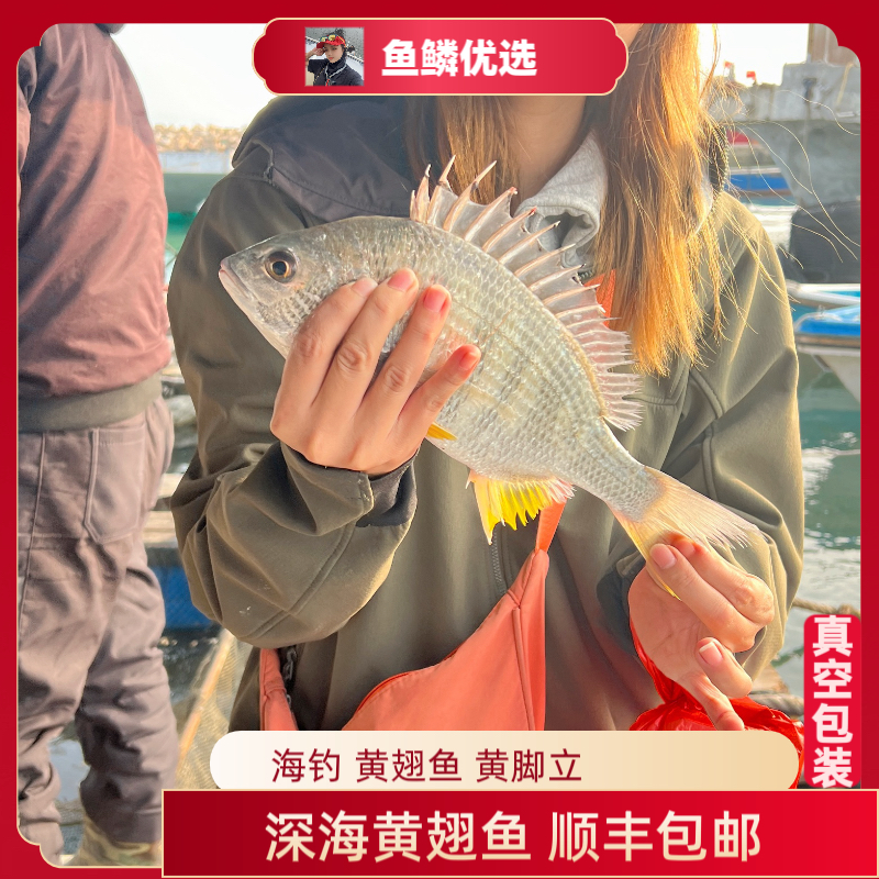 8两到1斤2 海钓黄翅鱼 黄脚立 黄鳍鲷 真空包装帮杀