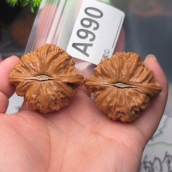 把件文玩核桃核桃44