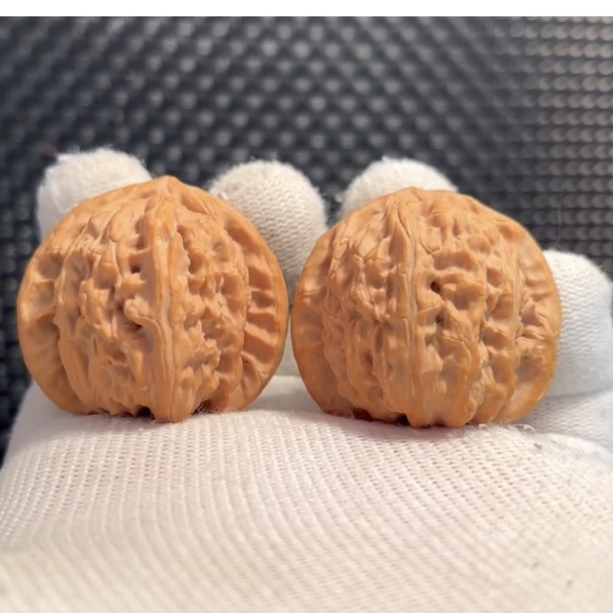 盘山三棱小果核桃