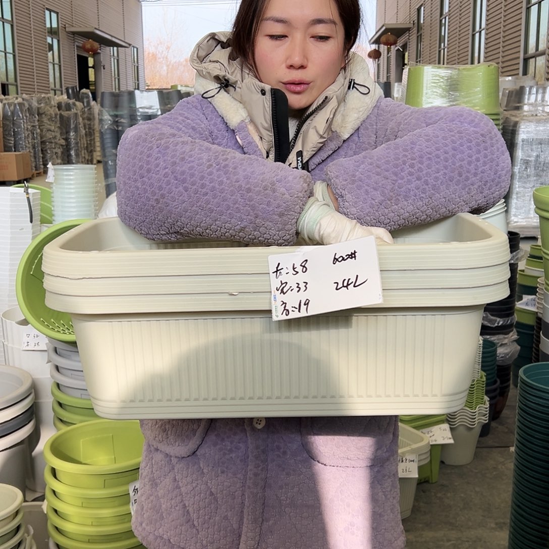 菜盆600#米白3个无托