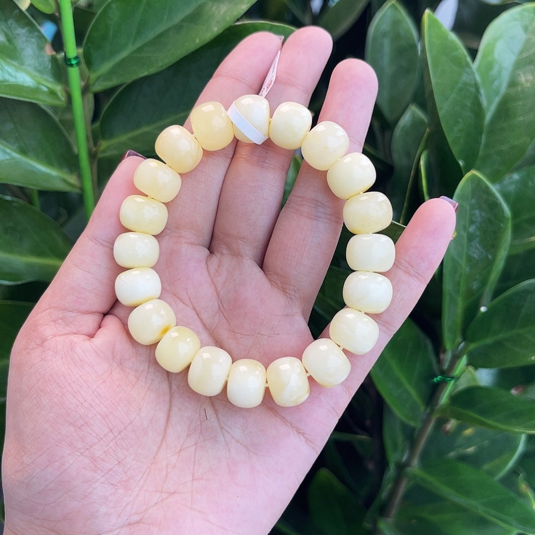 琥珀手链未镶嵌12 m多样性发其一