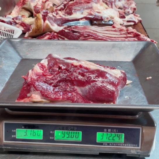 【闪购商品】冷冻保存30天包装河北省